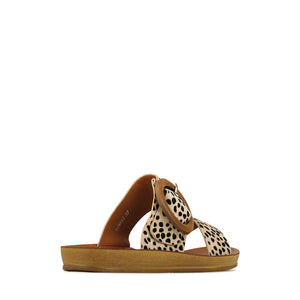 Damani Slides