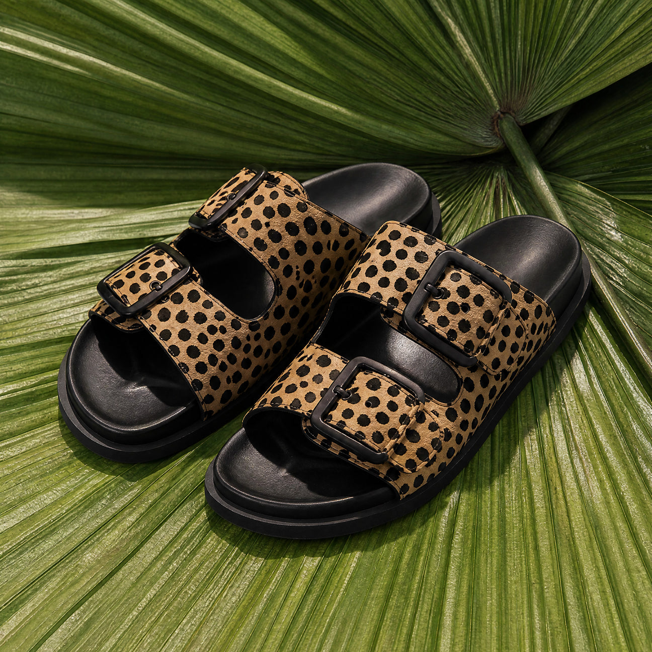 Zani Slide - Cheetah